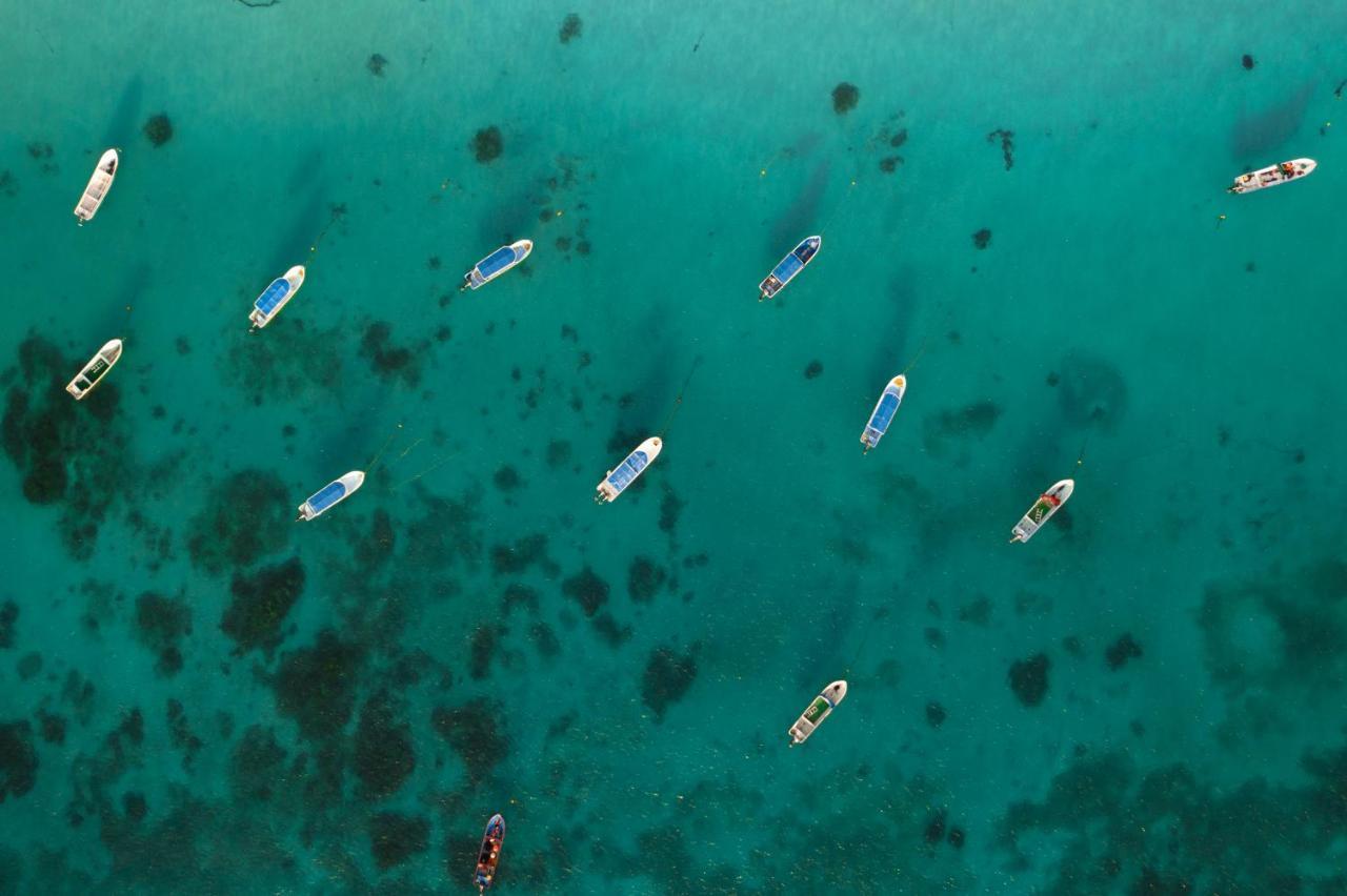Alito Tulum Hotel Zewnętrze zdjęcie