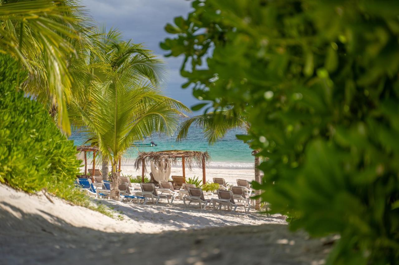 Alito Tulum Hotel Zewnętrze zdjęcie