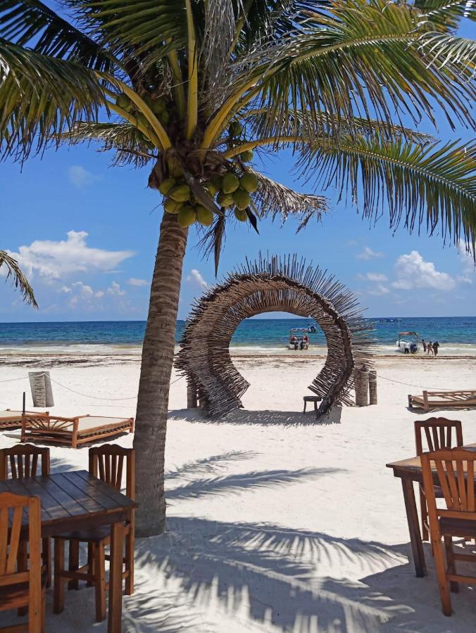 Alito Tulum Hotel Zewnętrze zdjęcie
