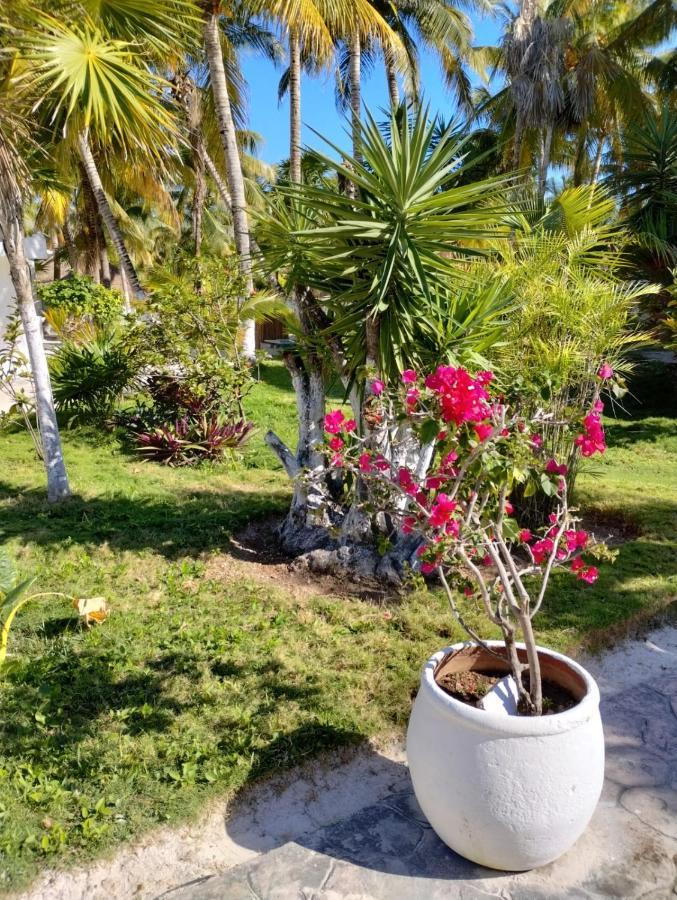 Alito Tulum Hotel Zewnętrze zdjęcie