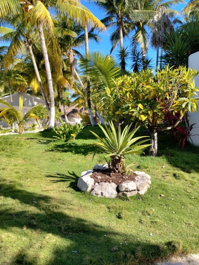 Alito Tulum Hotel Zewnętrze zdjęcie