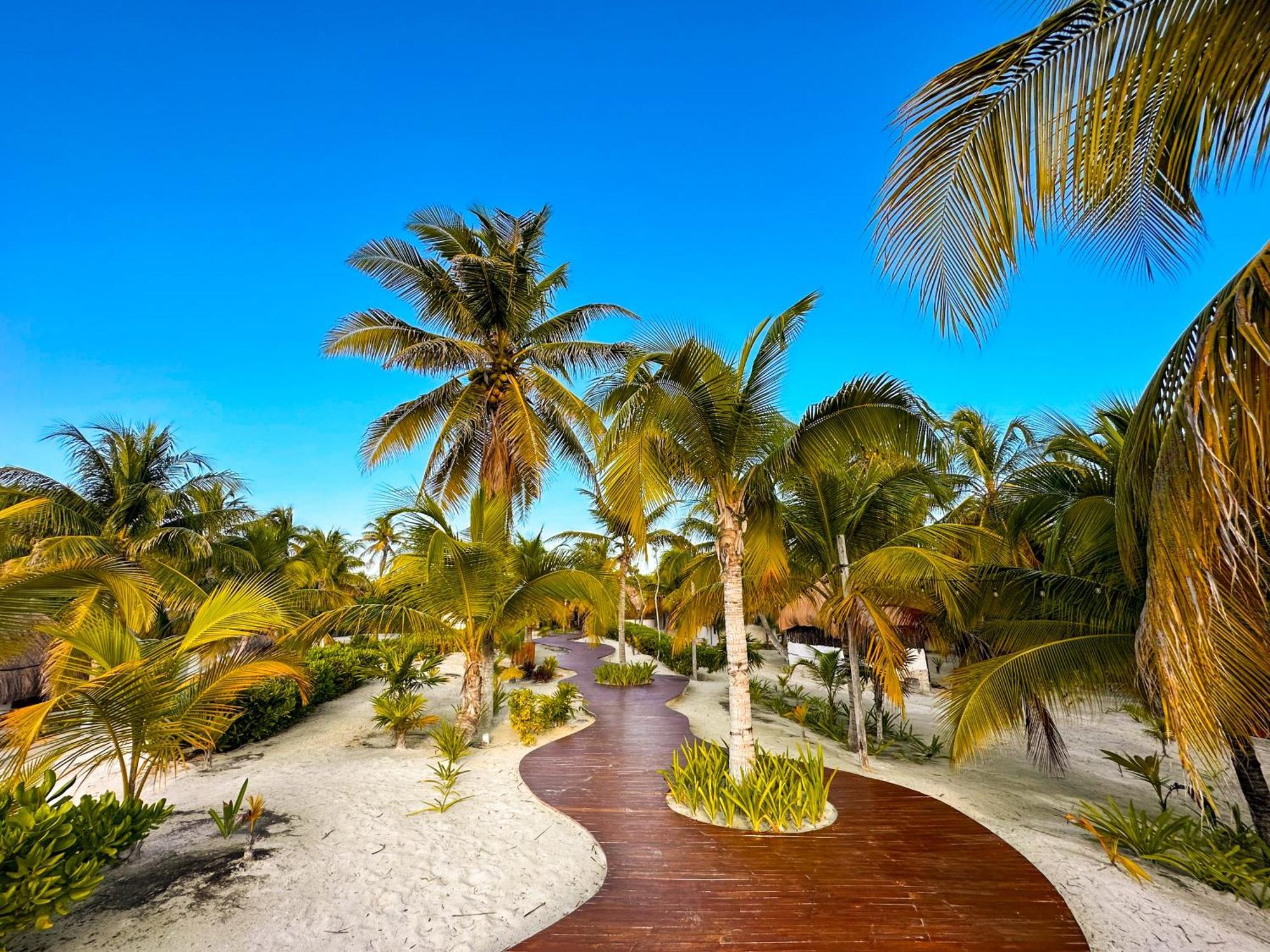 Alito Tulum Hotel Zewnętrze zdjęcie