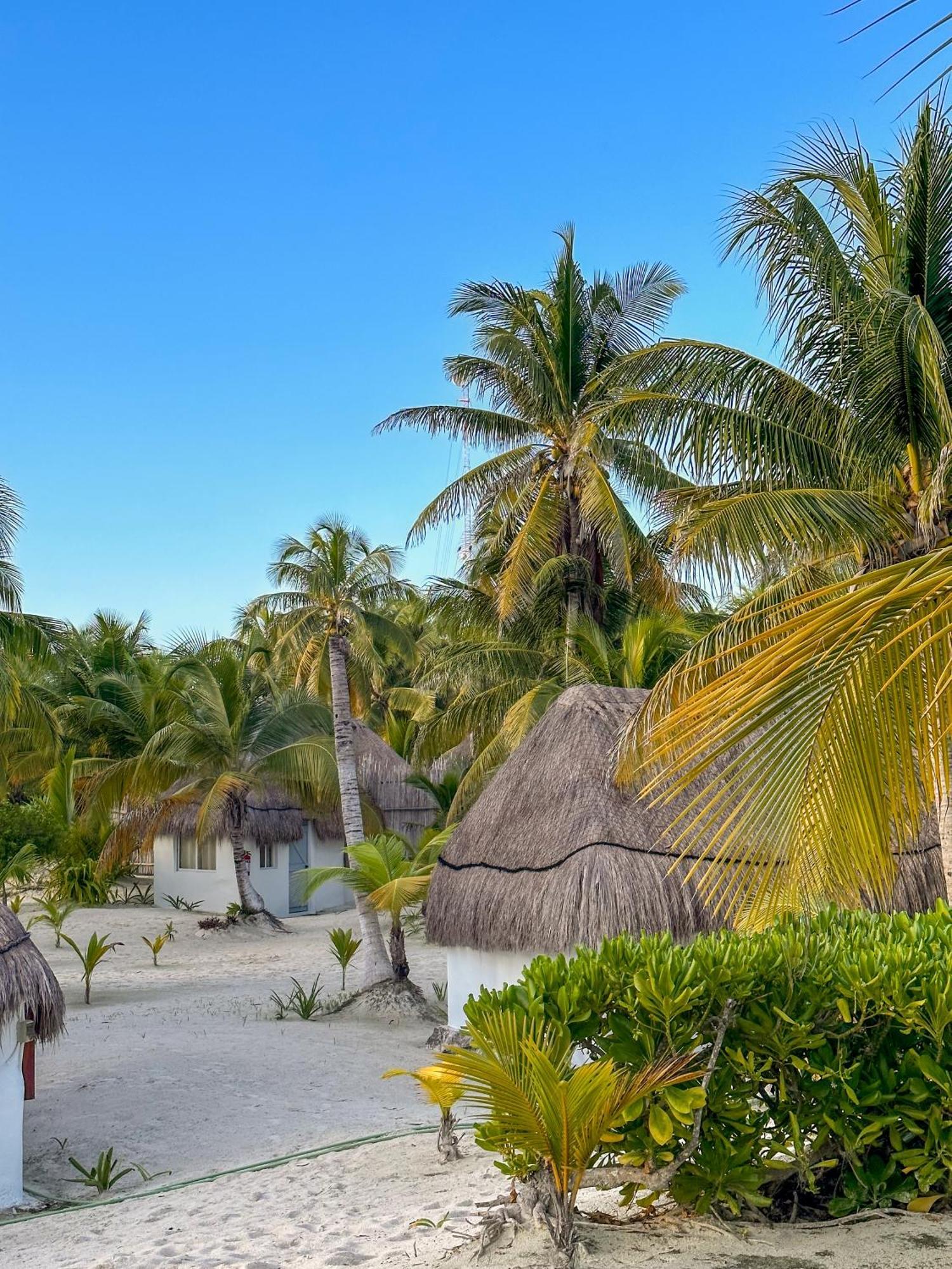 Alito Tulum Hotel Zewnętrze zdjęcie