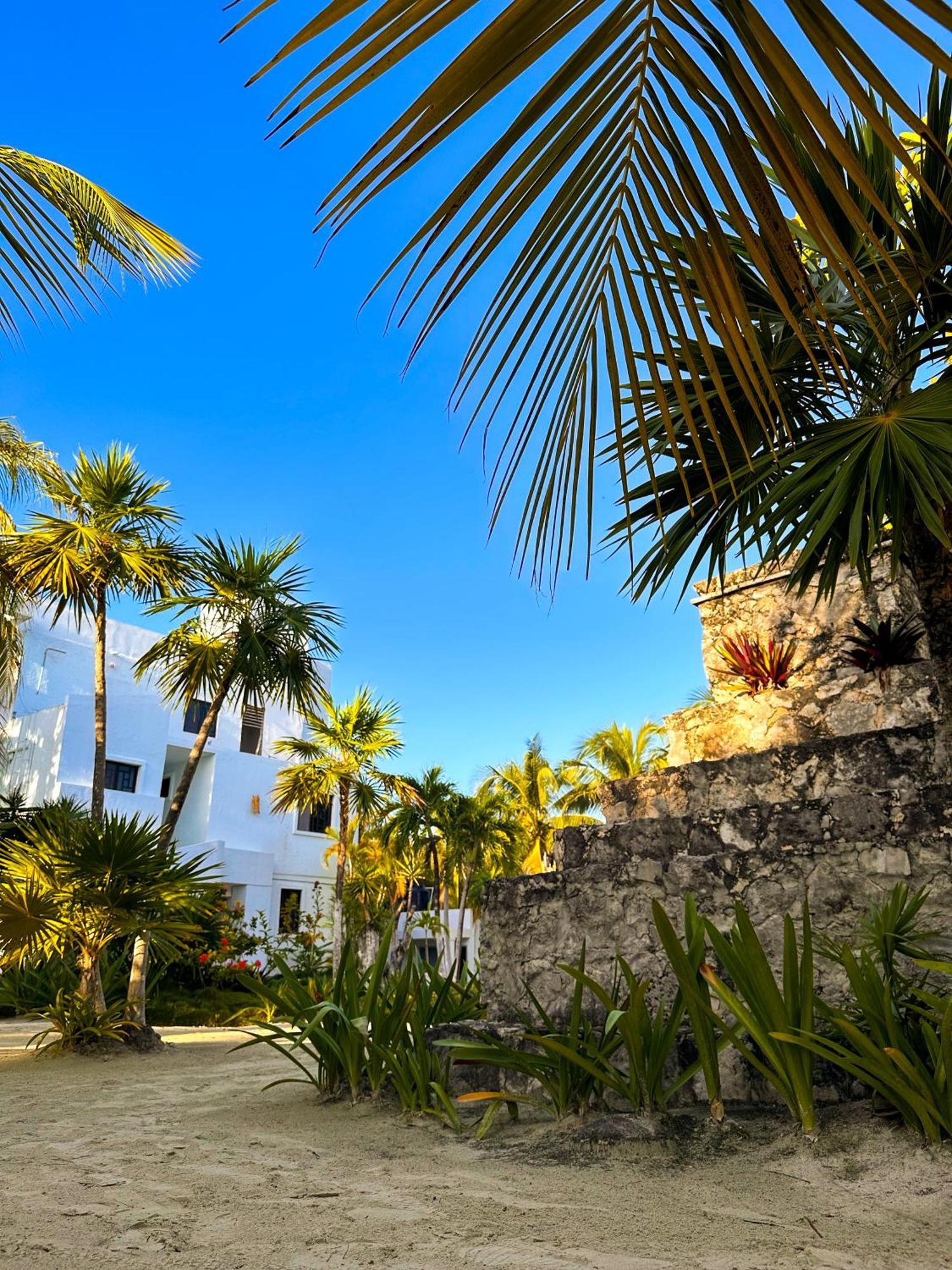 Alito Tulum Hotel Zewnętrze zdjęcie