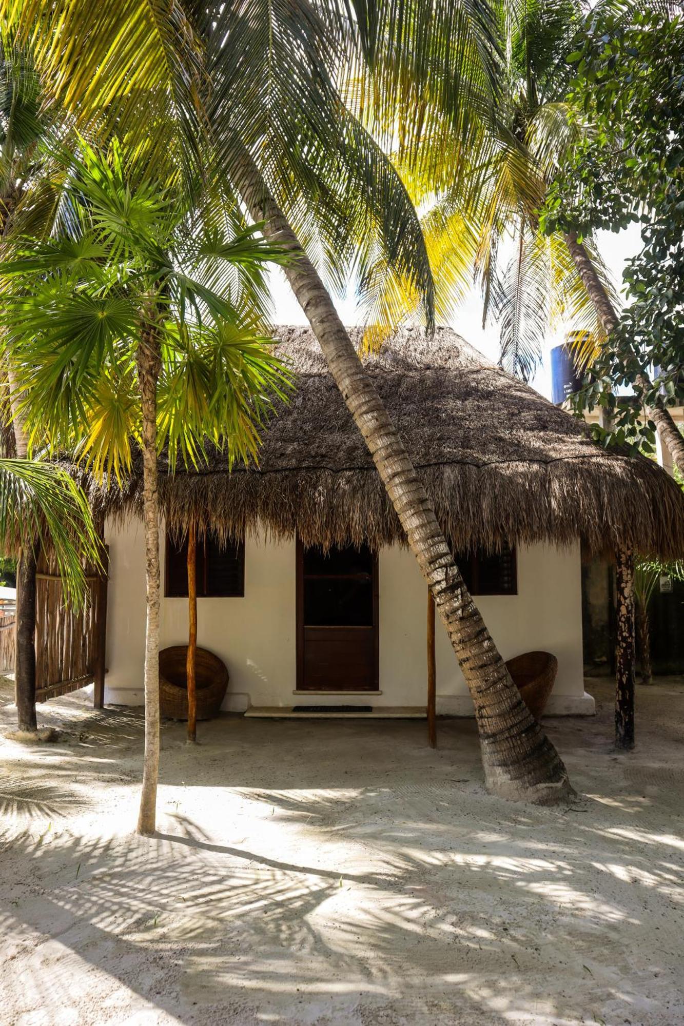 Alito Tulum Hotel Zewnętrze zdjęcie